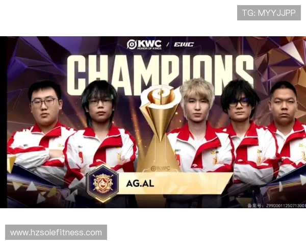 Fnatic战队乘风再起探索全球电竞巅峰之路重燃冠军荣耀梦