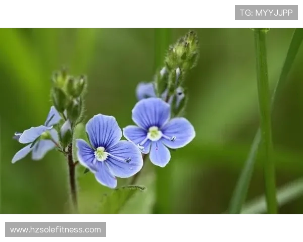 李玮锋：从足球场上的坚韧防守到人生道路上的智慧选择