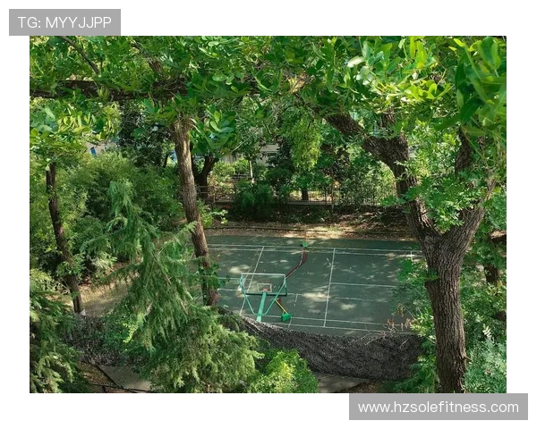 篮球魅力无穷探索：从球场技艺到心态建设全方位解析