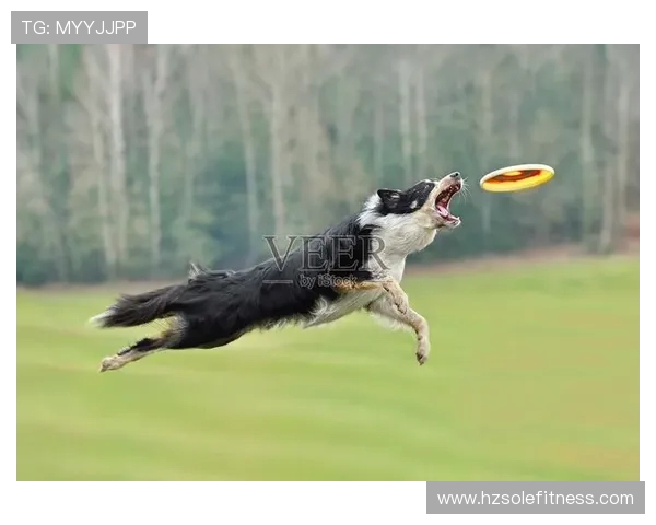 广州飞盘队实力不俗荣登飞盘个人能力排行榜第六名