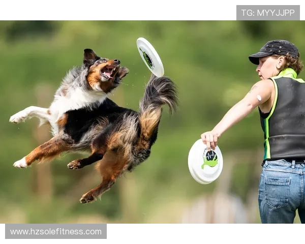 飞盘新手必看：提升比赛意识的实用技巧与策略分享